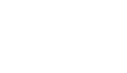 NER ACEROS